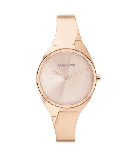 Calvin Klein CK25200236 Kadın Kol Saati