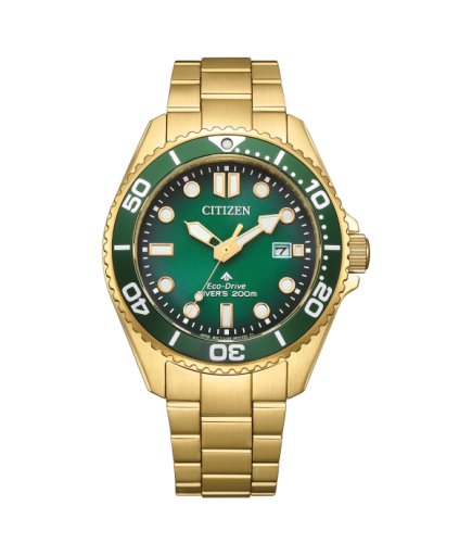 Citizen Promaster Diver BN0262-59W
