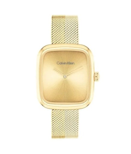 Calvin Klein CK25100099 Kadın Kol Saati