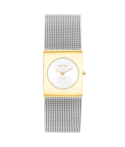 Calvin Klein CK25100139 Kadın Kol Saati