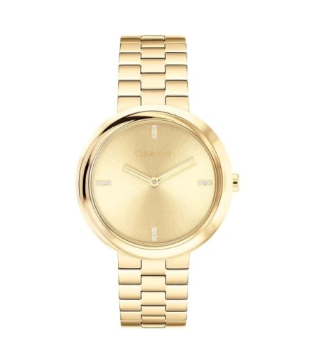 Calvin Klein ck25100094 Kadın Kol Saati