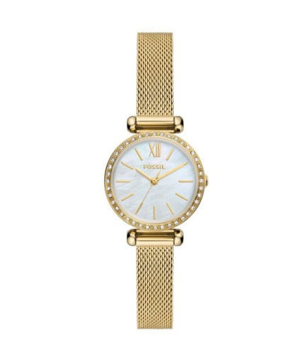 Fossil FBQ3898 Kadın Kol Saati