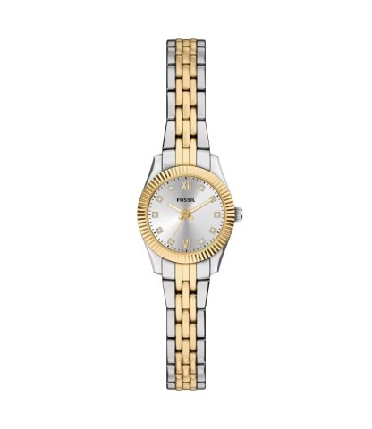 Fossil FES5473 Kadın Kol Saati