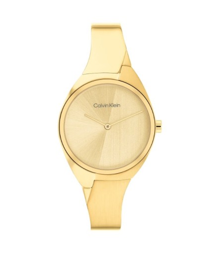 Calvin Klein CK25200235 Kadın Kol Saati