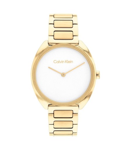 Calvin Klein CK25200276 Kadın Kol Saati