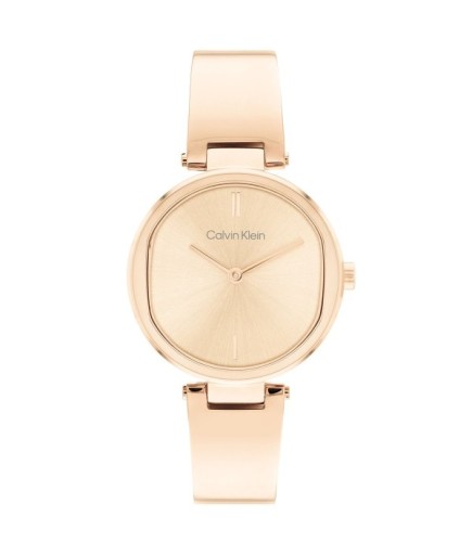 Calvin Klein CK25200308 Kadın Kol Saati