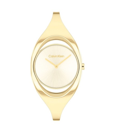 Calvin Klein CK25200391 Kadın Kol Saati