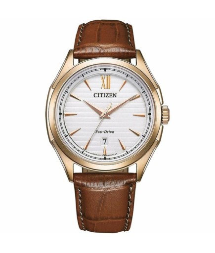 Citizen AW1753-10A Erkek Kol Saati